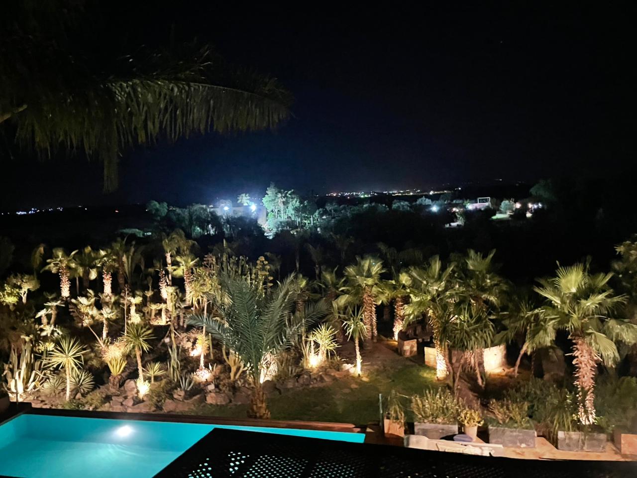 Beautiful landscaped garden with exotic plants