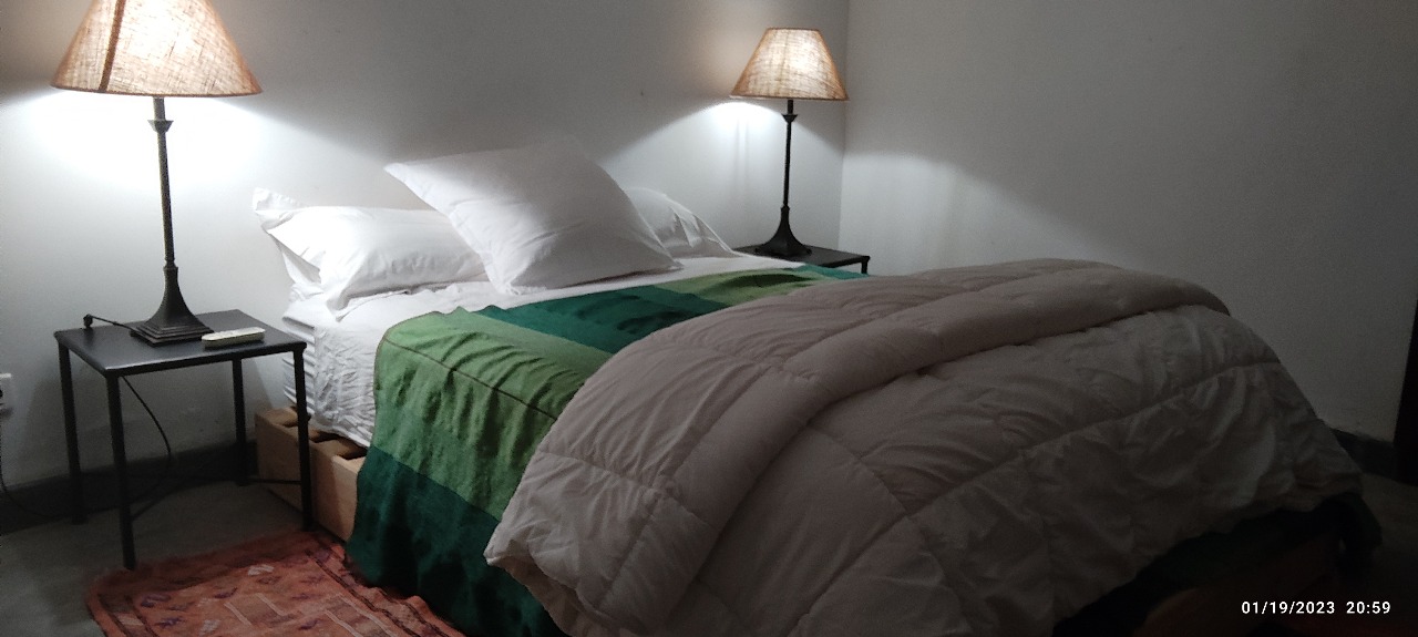 Palm Room with twin beds and palm tree view